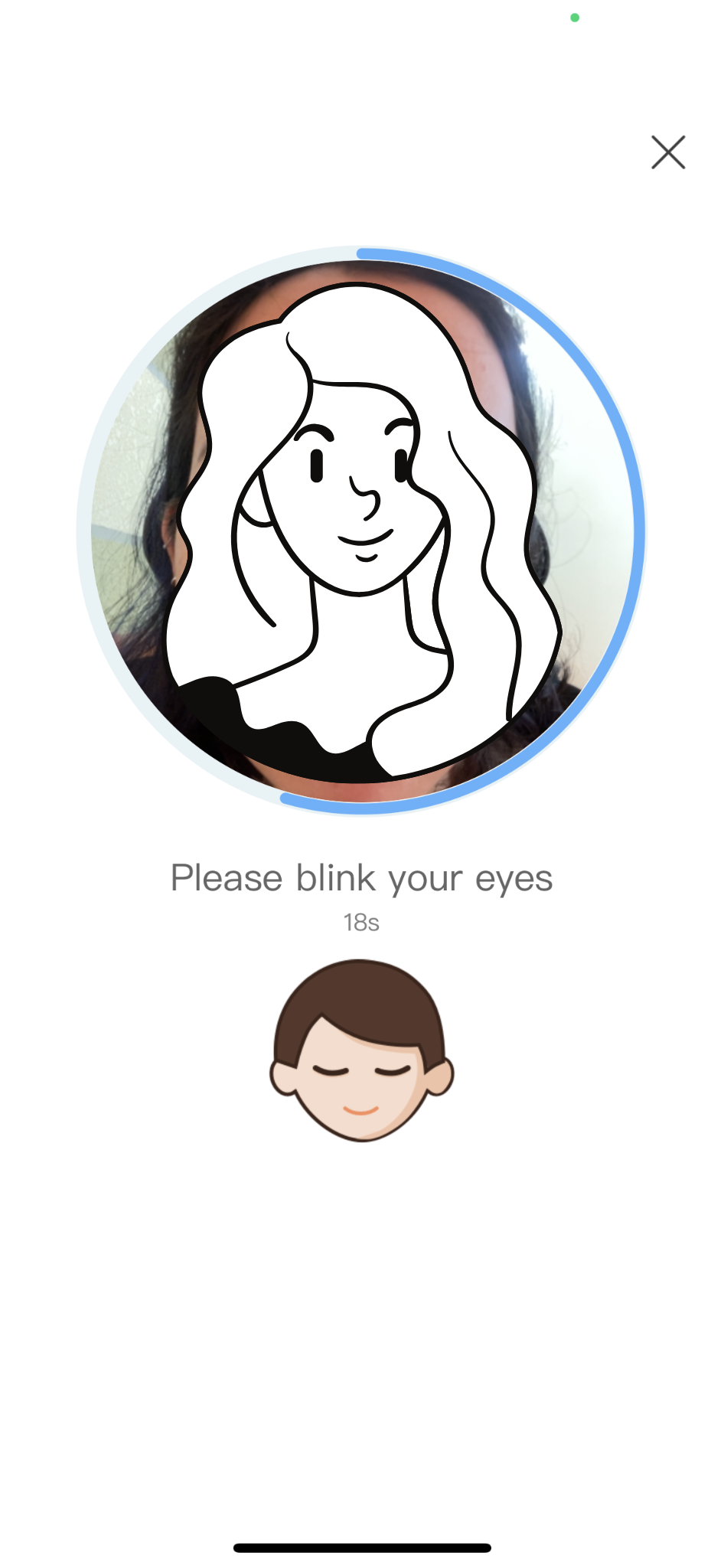 Face verification screen