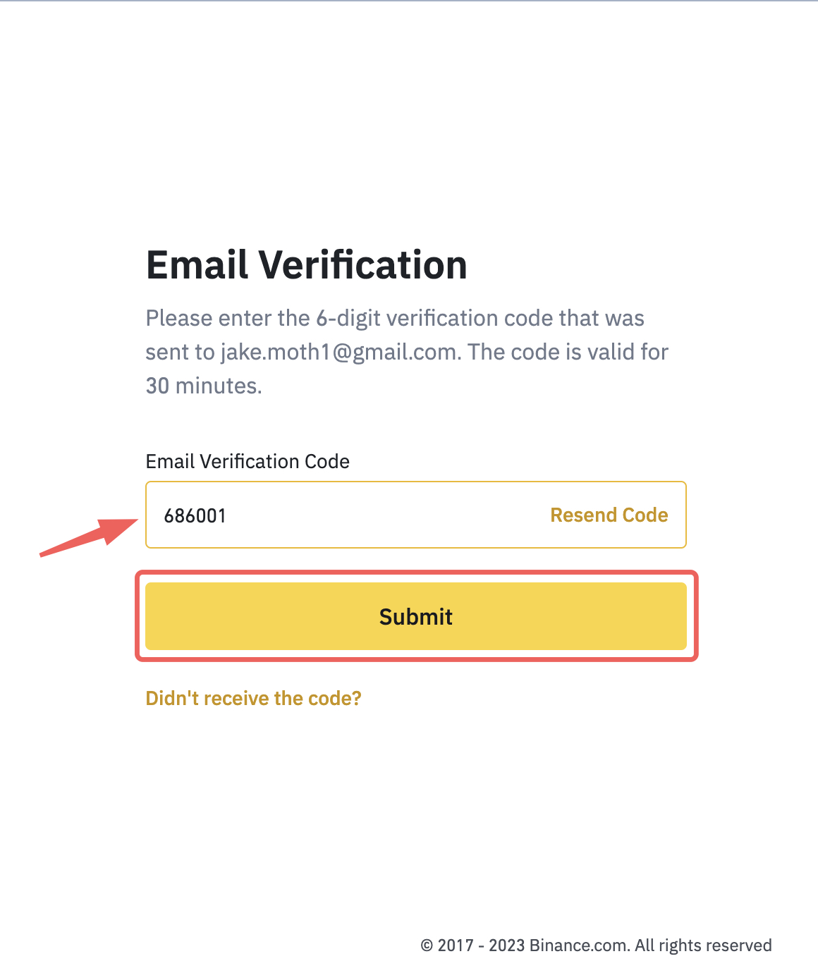 Email verification code input